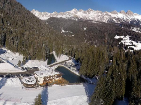 Гостиница Hotel Pensione Dolomiti  Фалькаде